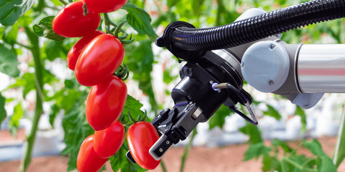 Agricultural AI support case study