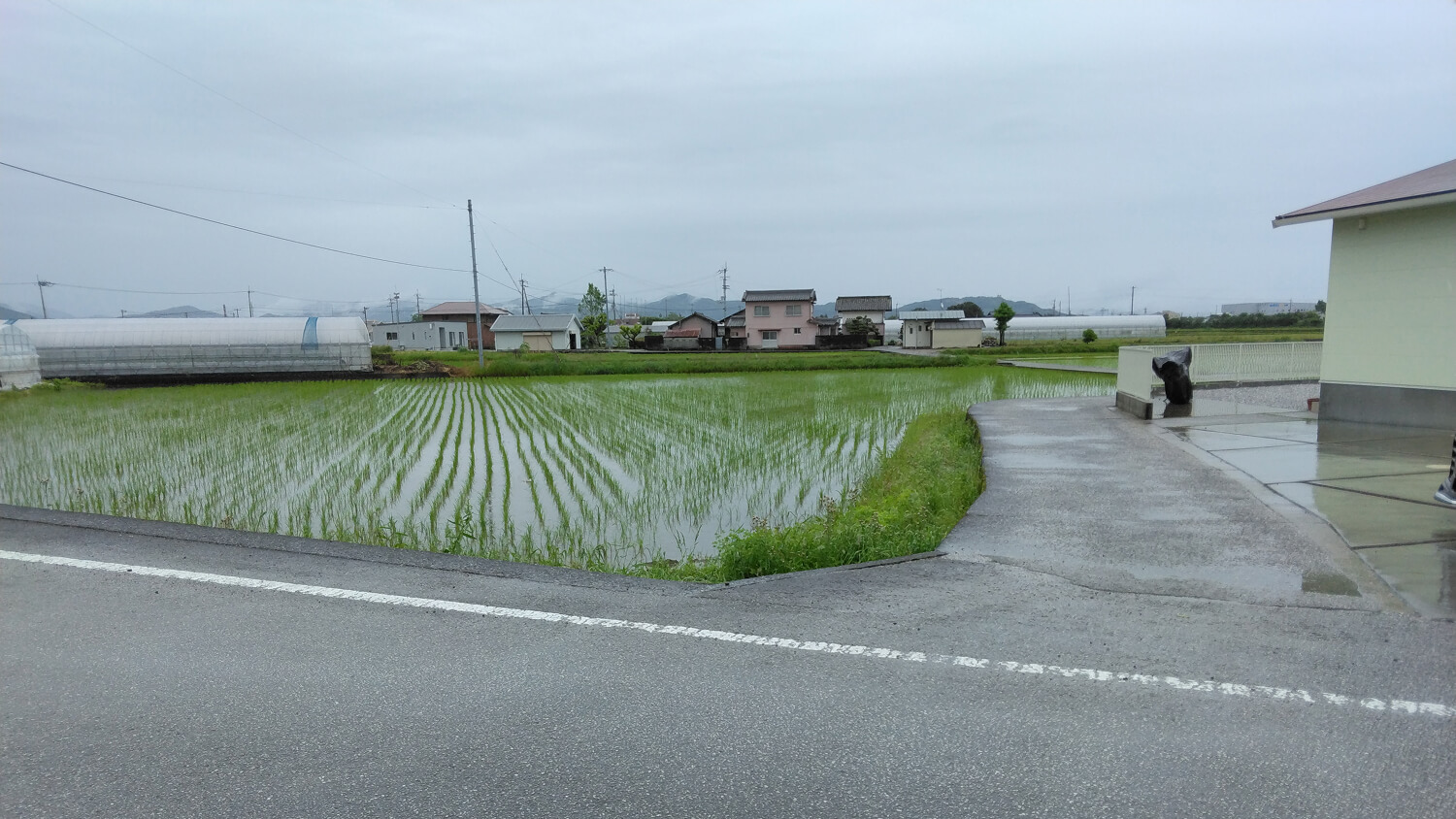 image-1-2